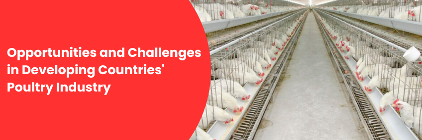 Opportunities and Challenges in Developing Countries' Poultry Industry